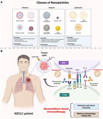 The emerging nanomedicine-based technology for non-small cell lung cancer immunotherapy: how far are we from an effective treatment